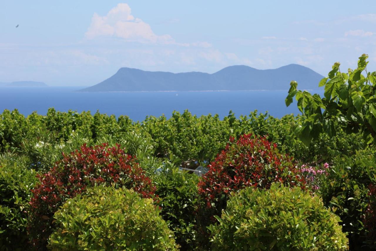 Pantheon & Danae Luxury Villas Sivota  Exterior photo